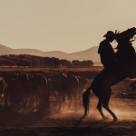 Aldo Vendramin analisa como o Freio de Ouro define padrões de excelência para os cavalos crioulos.
