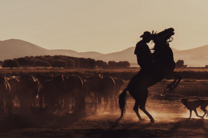 Aldo Vendramin analisa como o Freio de Ouro define padrões de excelência para os cavalos crioulos.