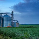 João Eustáquio De Almeida Junior analisa por que a armazenagem na agricultura é um fator decisivo para aumentar produtividade, rentabilidade e competitividade no campo.