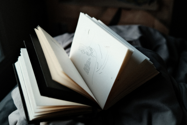 Alfredo Moreira Filho